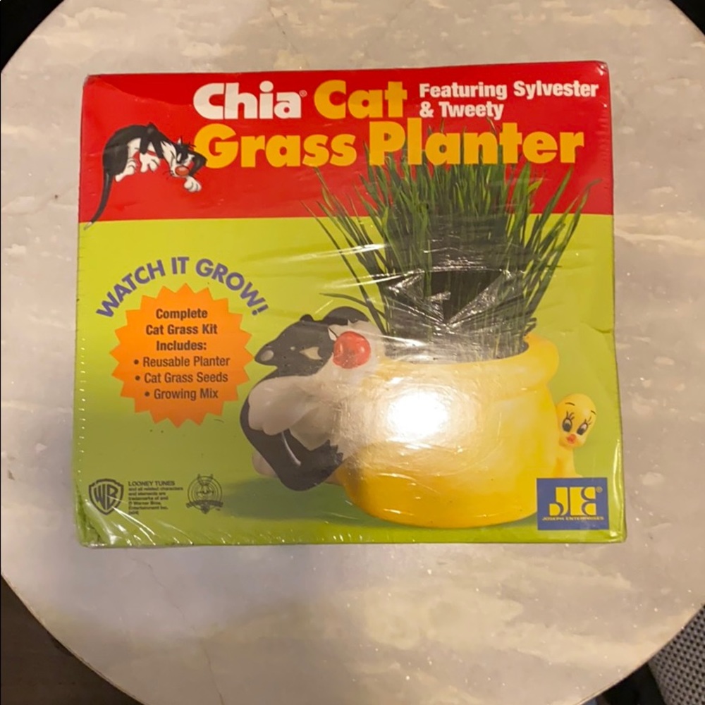 Chia pet
